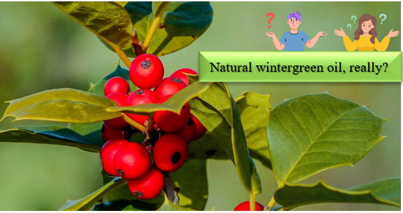 Wintergreen yağı - Sintetik inqrediyentləri necə müəyyən etmək və təbiiliyini yoxlamaq olar?