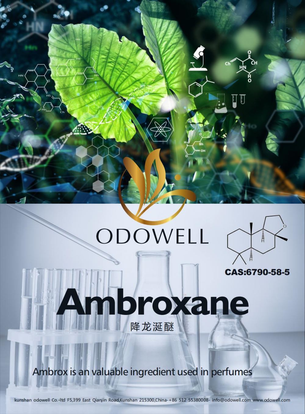 Odowell Ambroxane (Ambrox) üçün uğurlu bir ili qeyd edir