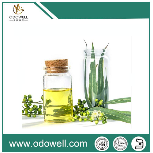 Premium Evkalipt Neft (Evkalipt Globulus) -Natural, orijinal və çox yönlüdür