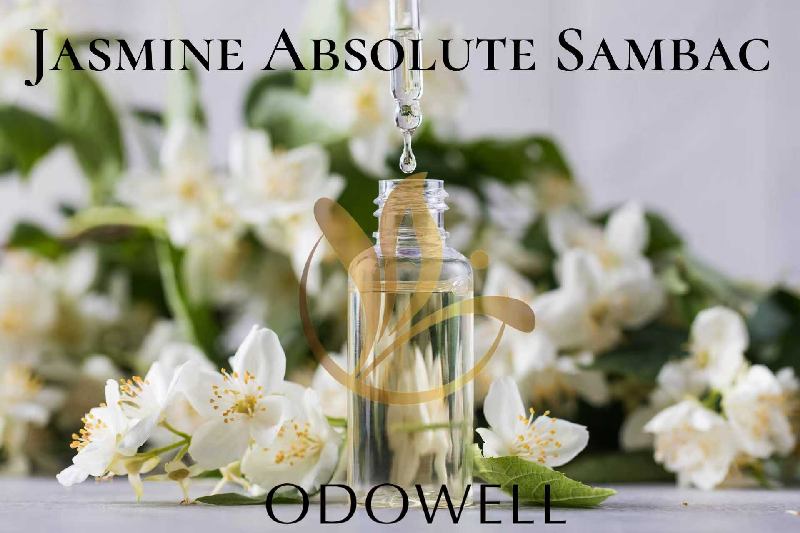 Odowell, Jasmine Mütləq Sambak - Ətir və Gözəllik üçün Mükəmməl Təbii Jasmine Mütləq