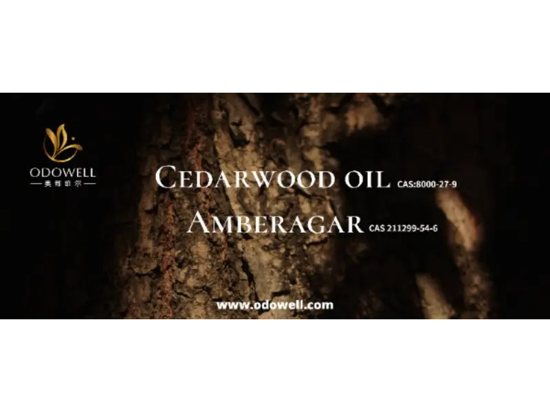 İmza qoxusunuz həqiqətən unikaldır?