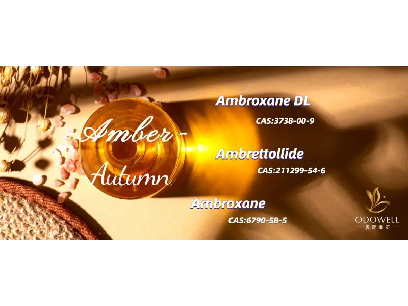 2025 üçün ən yaxşı cins neytral qoxuları nədir