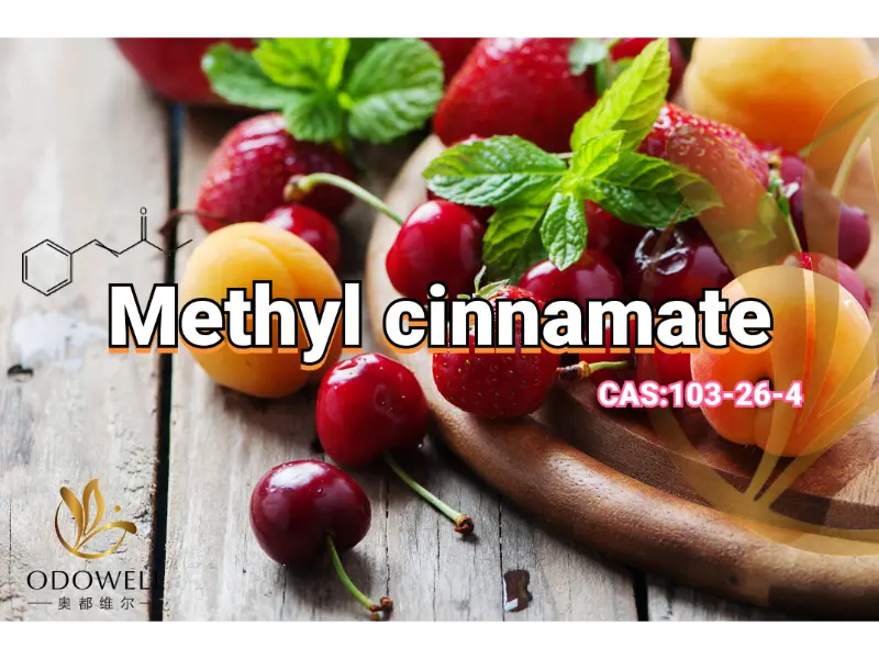 Methyl Cinnamate – Şərq ətirləri üçün ODOWELL-in Şirin Meyvəli-Balsamik Esteri