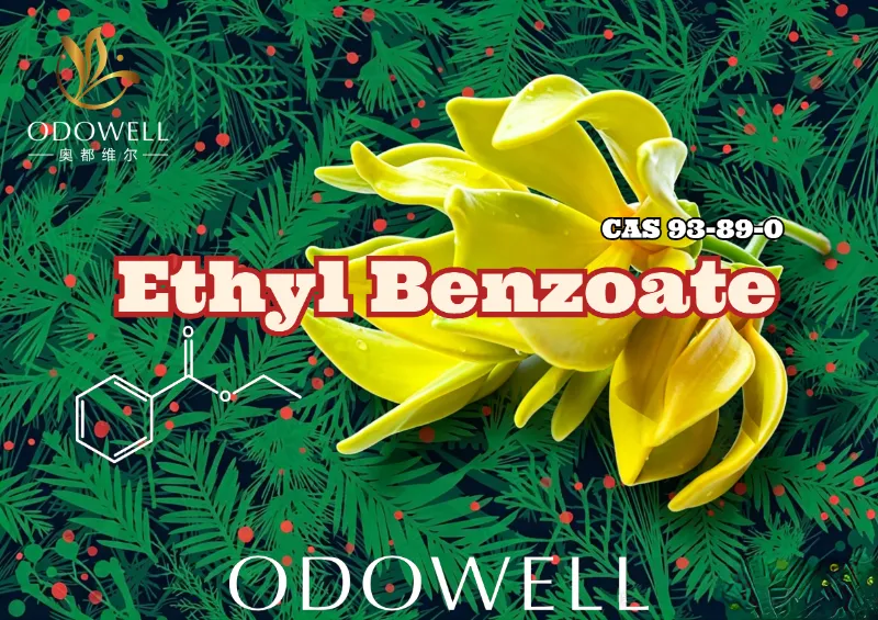 ODOWELL etil benzoatı təqdim edir: çiçək və şərq zərifliyi üçün isti qış yaşıl-ilanq efiri