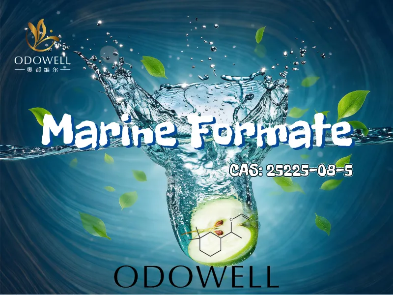 ODOWELL Dəniz Formatını Yeni Nəsil Dəniz Odunlu Aroma Tərkibi kimi Tövsiyə edir