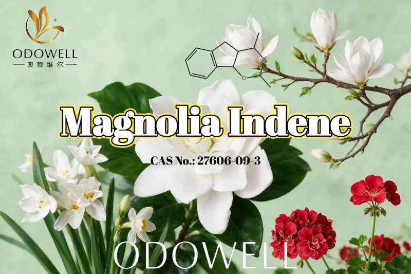 ODOWELL Təzə çiçək-yaşıl və sitrus ətir tətbiqləri üçün Magnolia Indene'yi tövsiyə edir